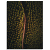 Canvas Print Nature Road from a Bird's Eye View 30x40 cm