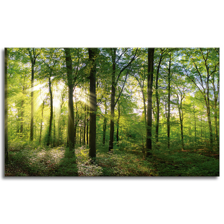 Canvas Print Sun Forest Trees Rays of Light 100x60 cm