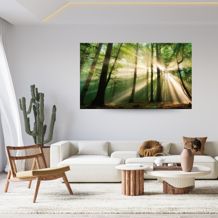 Canvas Print Sun in the Forest Trees Nature 100x80 cm