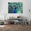 Canvas Print Animals Peacock 40x30 cm
