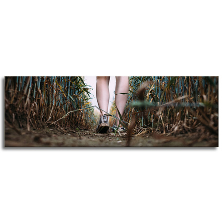 Canvas Print Nature Walk in the Field 120x40 cm
