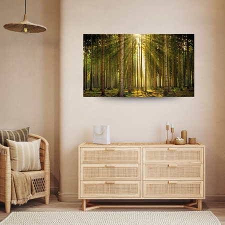 Canvas Print Forest Trees Sun Nature Spring 120x80 cm