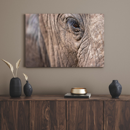 Canvas Print Animals Elephant Eye 40x30 cm