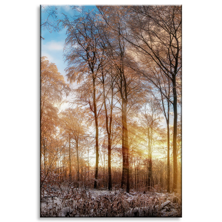 Canvas Print Trees Winter Rising Sun 80x120 cm