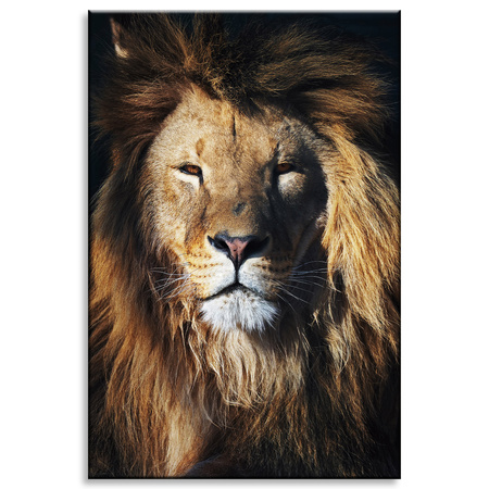 Canvas Print Lion Mane Face Wildness 80x120 cm