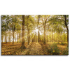 Canvas Print Sun Between Trees in the Forest 100x60 cm