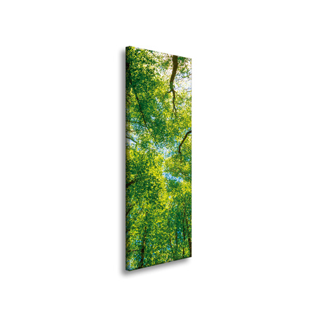Canvas Print Trees Leaves Nature Forest Spring 40x120 cm