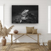 Canvas Print Lizard Reptile Black and White Nature 90x60
