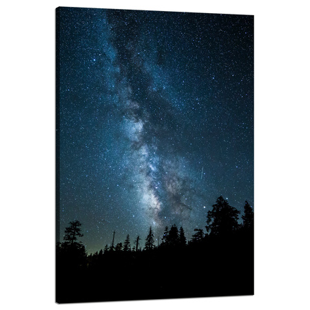 Canvas Print Space Night Forest Nebula 80x120