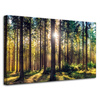 Canvas Print Forest Sun Trees Spring Morning 80x50 cm