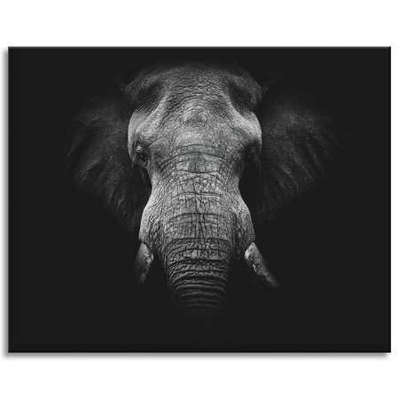 Canvas Print Gray Elephant Face Trunk Tusks 100x80 cm