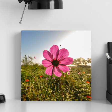 Canvas Print Botanical Pink Flower 40x40 cm