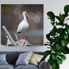 Canvas Print Animals Bird 40x40 cm
