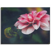 Canvas Print Botanical Pink Dahlia 40x30 cm