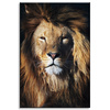 Canvas Print Lion Mane Face Wildness 80x120 cm