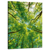 Canvas Print Trees Leaves Nature Forest Spring 50x70 cm