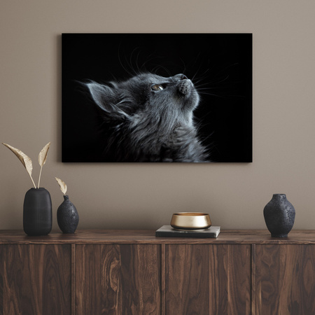 Canvas Print Animals Cat 100x80 cm