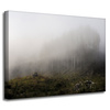 Canvas Print Nature Fog_2 40x30 cm