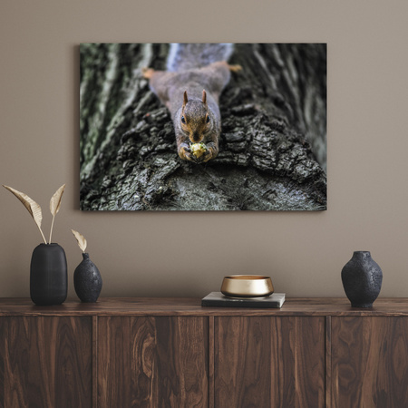 Canvas Print Animals Squirrel_2 40x30 cm