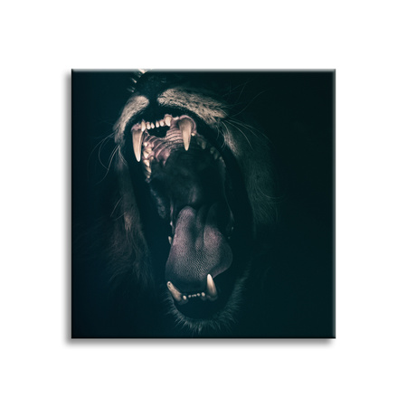 Canvas Print Animals Lion's Mouth 40x40 cm