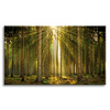 Canvas Print Forest Trees Sun Nature Spring 120x80 cm