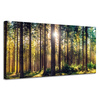 Canvas Print Forest Sun Trees Spring Morning 120x60 cm