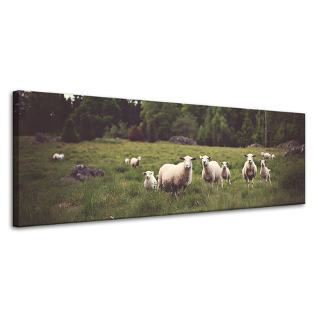 Canvas Print Nature Sheep on Pasture 120x40