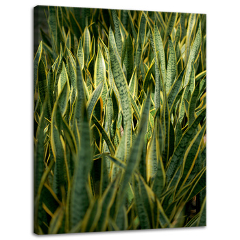 Canvas Print Botanical Green Grass 30x40 cm
