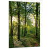 Canvas Print Sun Forest Trees Rays of Light 60x90 cm