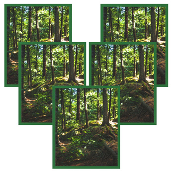 5x Frame Green 40x50, I L13,15,025, Plexiglass