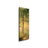 Canvas Print Sunlight Forest Path Nature 40x120 cm