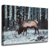 Canvas Print Animals Canadian Deer 40x30 cm
