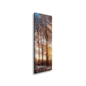 Canvas Print Trees Winter Rising Sun 40x120 cm