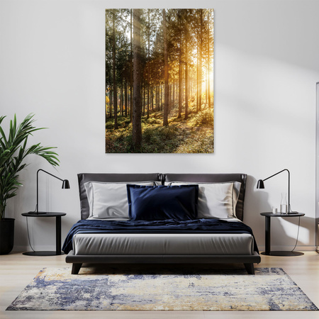 Canvas Print Birch Trees Sun Morning 70x120 cm