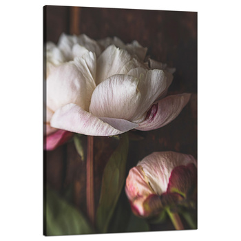 Canvas Print White Flower Nature Vintage Retro 80x120
