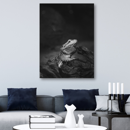 Canvas Print Lizard Reptile Black and White Nature 60x100