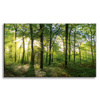 Canvas Print Sun Forest Trees Rays of Light 90x60 cm