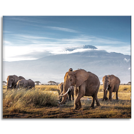 Canvas Print Walking Elephants Mountain Savannah Natural Environment 100x80 cm