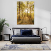 Canvas Print Sun Between Trees in the Forest 40x80 cm