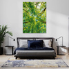 Canvas Print Trees Leaves Nature Forest Spring 50x70 cm
