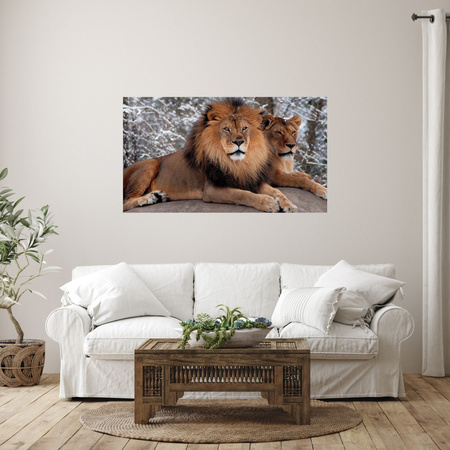Canvas Print Pair of Lions Lying Nature 100x80 cm