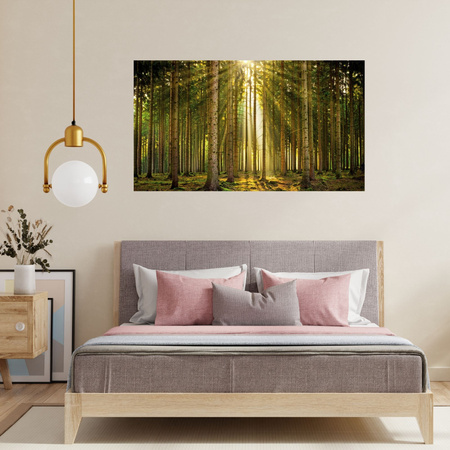 Canvas Print Forest Trees Sun Nature Spring 120x80 cm
