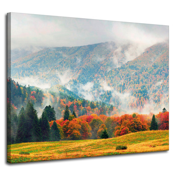 Canvas Print Mountain Forests Meadows Clouds Nature 100x80 cm