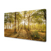 Canvas Print Sun Between Trees in the Forest 120x80 cm