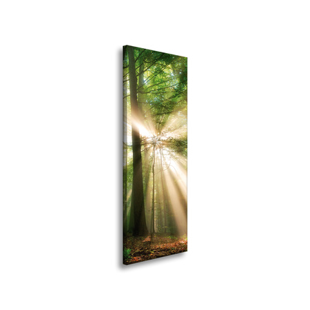 Canvas Print Sun in the Forest Trees Nature 40x120 cm