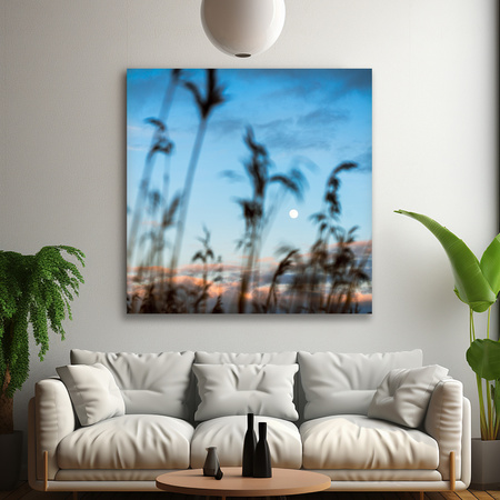 Canvas Print Nature Glade Meadow Sunrise 90x90