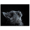 Canvas Print Animals Cat 40x30 cm