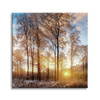 Canvas Print Trees Winter Rising Sun 90X90 cm