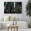 Canvas Print Nature Forest 40x30 cm