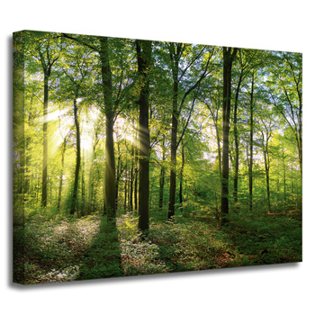 Canvas Print Sun Forest Trees Rays of Light 40x30 cm